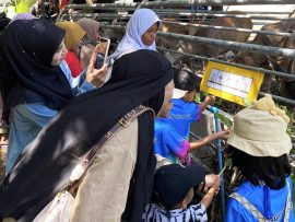 Pattani Visit010