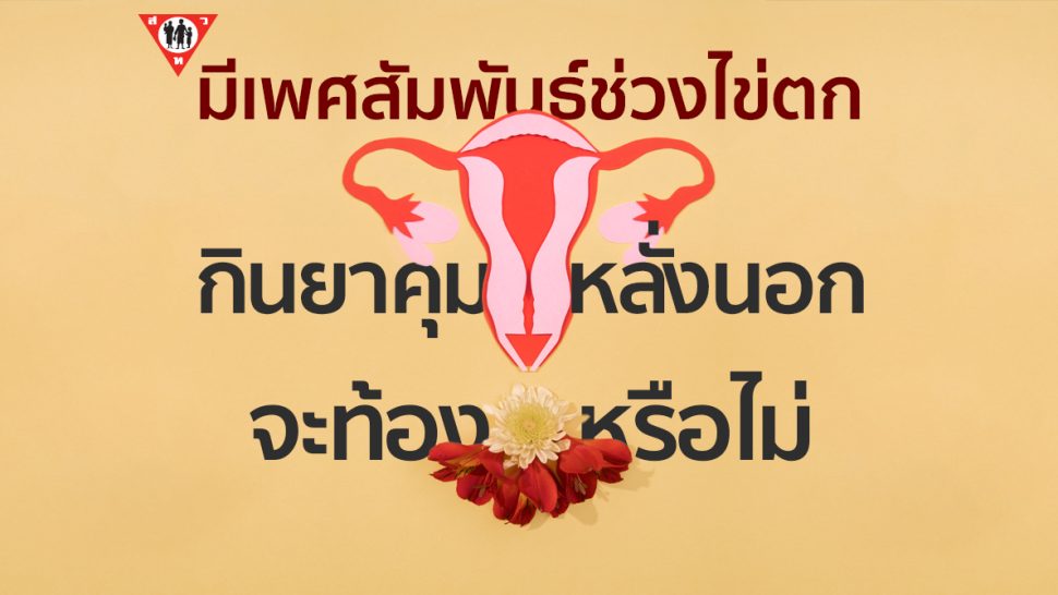กินยาคุม มีเพศสัมพันธ์ช่วงไข่ตก หลั่งนอก จะท้องหรือไม่ copy