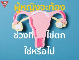 ผู้หญิงจะท้องได้เเค่ช่วงที่ไข่ตก ใช่หรือไม่