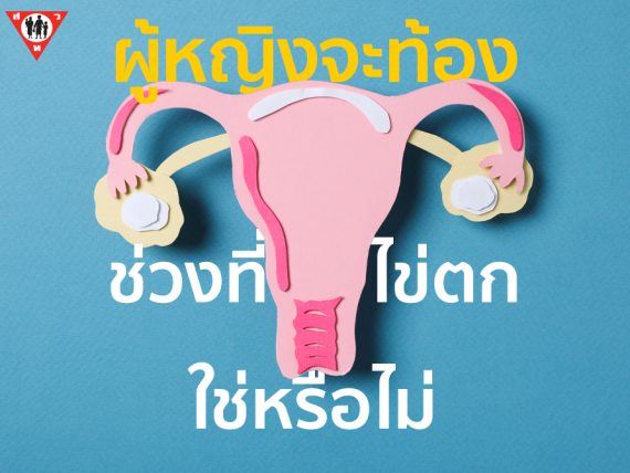 ผู้หญิงจะท้องได้เเค่ช่วงที่ไข่ตก ใช่หรือไม่