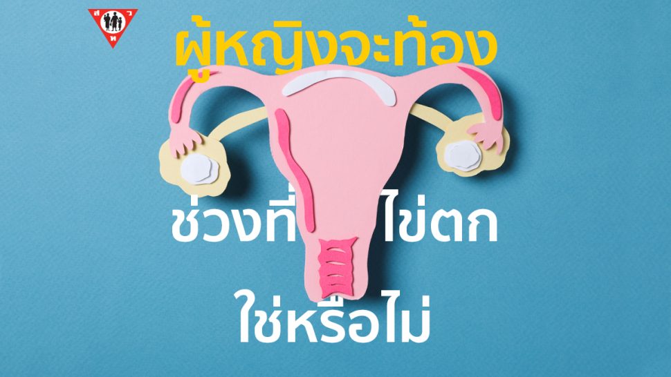 ผู้หญิงจะท้องได้เเค่ช่วงที่ไข่ตก ใช่หรือไม่